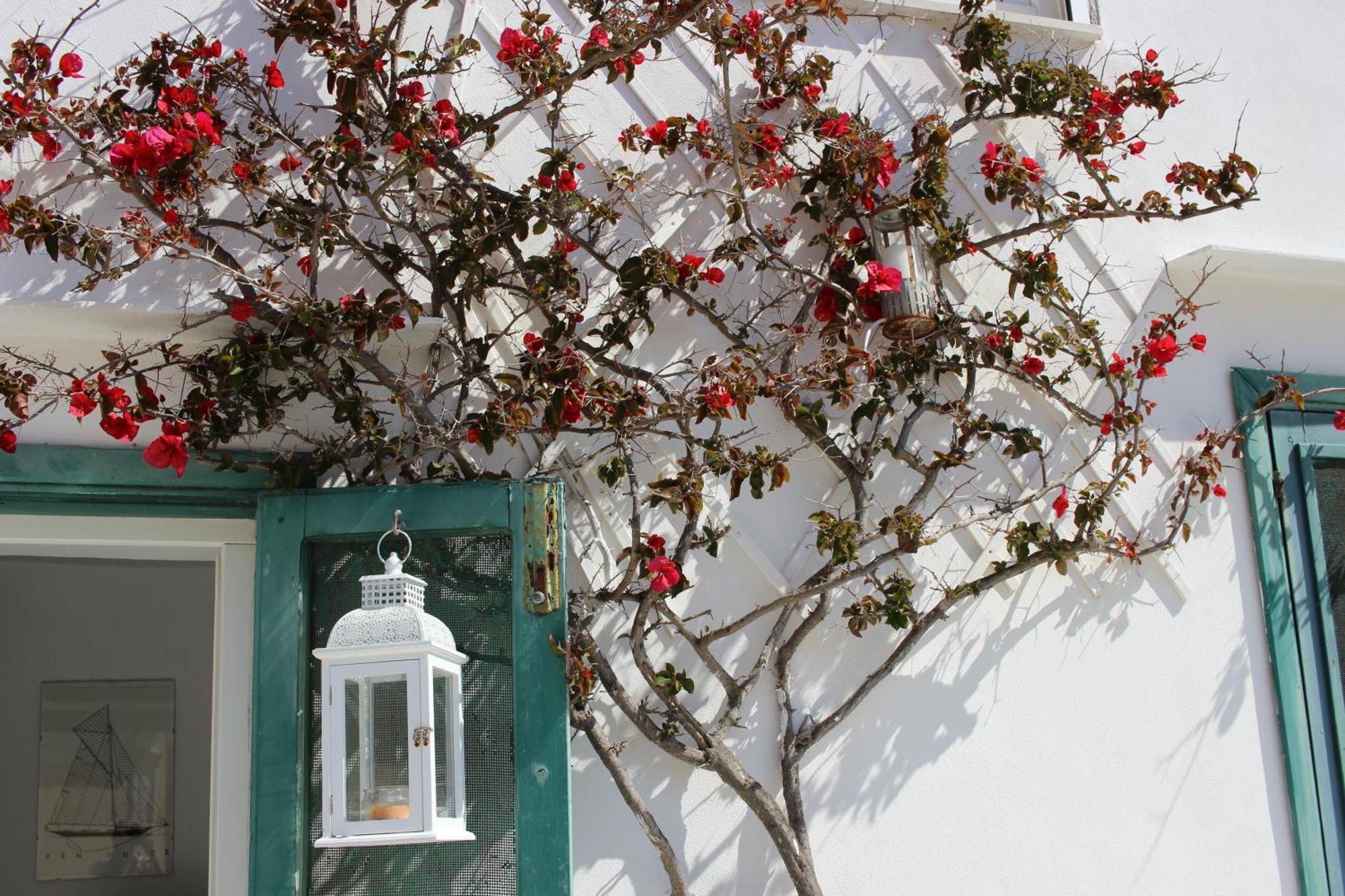 Apartamento La Mansarda Sul Porto Ponza Exterior foto